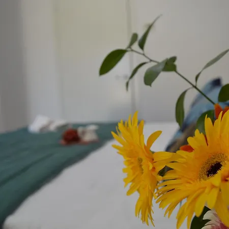 Ibis - Affitti Brevi Italia Apartment