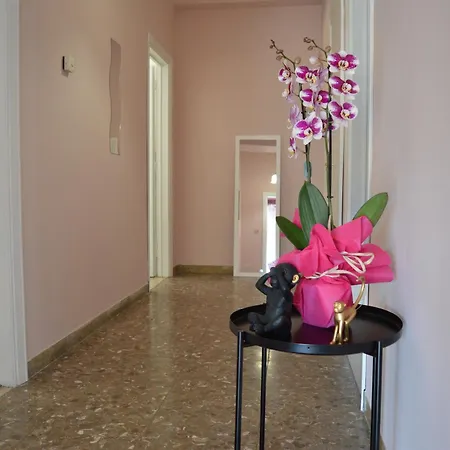 Ibis - Affitti Brevi Italia * 라킬라