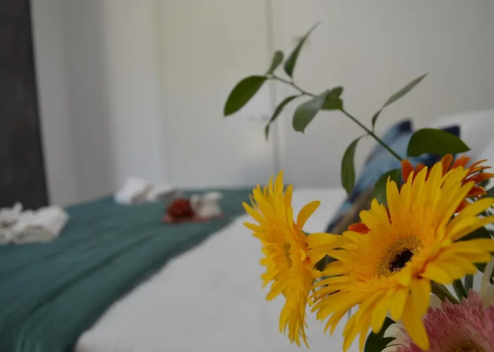 Ibis - Affitti Brevi Italia Appartement